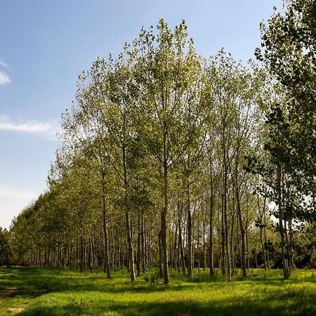 Masseria Giosole Capua Ngoại thất bức ảnh